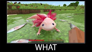 Minecraft wait what meme part 151 realistic minecraft axolotl [upl. by Sacken]