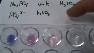 Phosphate Anion Test for Qual Lab [upl. by Gonzalo503]