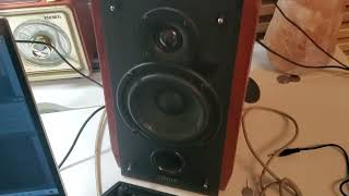 How to Fix Edifier Speakers R1700BT No Sound [upl. by Aicinoid832]