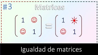 3 Igualdad de matrices Con ejercicios resueltos [upl. by Atnohs930]