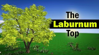 The Laburnum Top Class 11 Poem Animation in English [upl. by Debera983]