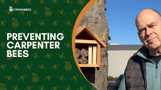 Preventing Carpenter Bees [upl. by Ledah]