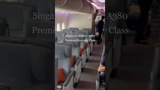 Economy vs Premium Economy vs Business vs First Class  Singapore Airlines A380 [upl. by Leahkim]