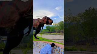 T Rex Dinosaur  🦖🦖😱  Mrx  shorts dinosaur animals geography [upl. by Akenet]