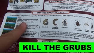 PSA  Time to apply GrubEx1 Kill the Grubs before they Kill Your Lawn [upl. by Haig]