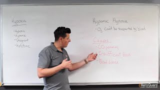 Causes and Effects of Hypoxia – AeroGuard Flight Training Center [upl. by Koah572]