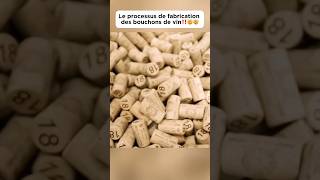 Le processus de fabrication des bouchons de vin‼️🤯🤯 bouchon wine plug découverte pourtoi fyp [upl. by Liam]