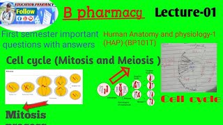 B pharmacy first semester HAPHuman Anatomy and physiology1L01 Important questions with answer [upl. by Gerrie612]