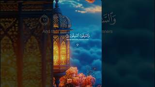 Islamicvideodineralo33quranayat [upl. by Neufer447]