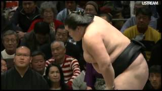 Hatsu16 Day 02 Tochinoshin vs Terunofuji [upl. by Aika]