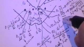 NEUROANATOMIA 20 TALLO CEREBRAL PUENTE Configuracion Interna [upl. by Reppart]