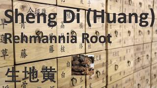 109 Chinese Herbal Medicine Traditional Chinese Medicine  Sheng Di Huang Rehmannia Root 生地黄） [upl. by Drwde18]