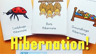 Understanding Hibernation How Animals Survive the Winter [upl. by Ludwigg]