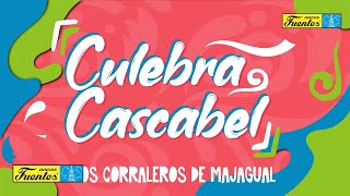 Los Corraleros de Majagual  Culebra Cascabel  Discos Fuentes [upl. by Yorel935]