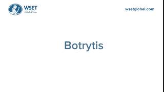 How to say it Botrytis [upl. by Anaderol]