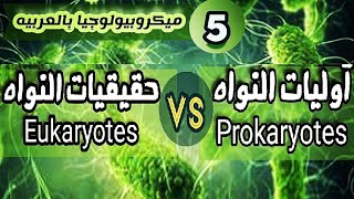 الفرق بين خلايا بدائيات النواه و حقيقيات النواه  شرح Difference between Prokaryotes and Eukaryotes [upl. by Llekcir518]