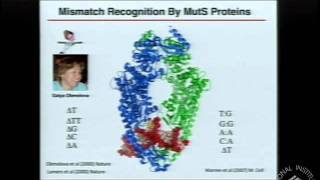 Genome Integrity and Cancer Prevention Molecular Mechanisms of DNA Repair [upl. by Udenihc672]