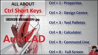 Session 39  Ctrl Short Keys in AutoCAD [upl. by Ssidnak]