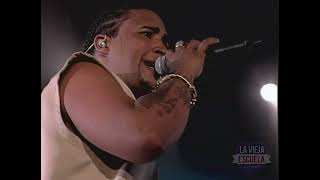 DILE CUENTALE THE LAST DON LIVE  DON OMAR VIDEO ORIGINAL [upl. by Nnylirej]