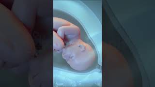 Amazing Natural Child Birth in 3D  Giving Birth to a Baby pregnancy baby animation [upl. by Aelsel]