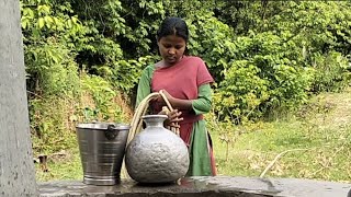 Village Life Cooking Lunch Malabar Spinach And Pulse tusuzupuvlogs [upl. by Sinnek]