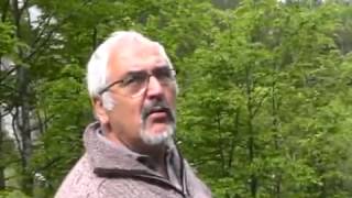 Video Haflinger zu Fuss nach Ebbs zur Weltausstellung [upl. by Aoniak]