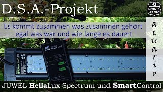 JUWEL HeliaLux Spectrum und SmartControl Beste LED Aquarien Beleuchtung  DSAProjekt [upl. by Derraj]