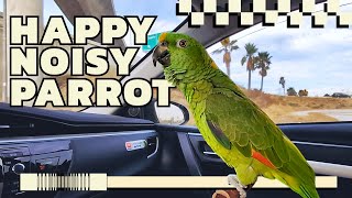 The happiest noisy amazon parrot on the freeway [upl. by Eirrehc]