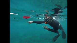 Malapascua island snorkeling 2 [upl. by Enahsed642]