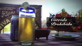 Tutoriales de Bebidas CORRIDO PROHIBIDO  Xoximilco Cancún Música tradición amp ¡FIESTA [upl. by Findley]