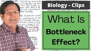 What Is Bottleneck Effect  Biology Clips [upl. by Aneehta]