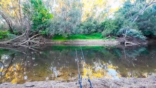 Where The Waters Clear And The Carp Are Pretty [upl. by Cath]