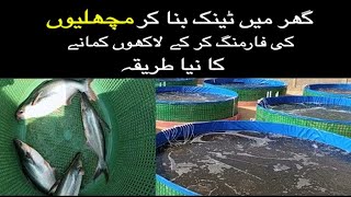 Fish Farming At Home  Bio Floc Fish Farming Ka Procedure  گھر پر مچھلی کی فارمنگ  How to start [upl. by Hako]