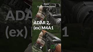 M4A1 und ADAR unterschieden lernen in Tarkov [upl. by Cates237]