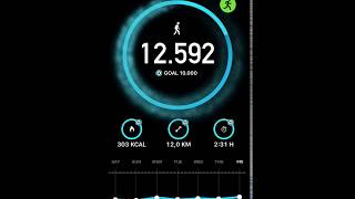 StepsApp Pedometer  Step Counter App Store [upl. by Leanor]