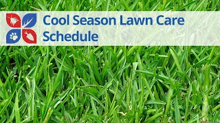 Lawn Care EXPERT Shares YearRound COOL SEASON Timing Secrets [upl. by Roanna]