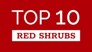 Top Ten Red Shrubs [upl. by Yrellih]