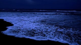 Ocean Waves for Deep Sleep  Waves Crashing on Beach at Night for Insomnia Wave Sounds to Relax [upl. by Aciras]