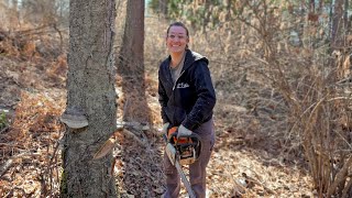 5 Years Living Off The Grid  Falling Her First Tree  It Was Hilarious [upl. by Nujra]