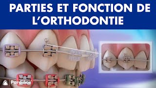 Appareil dentaire – Parties et fonction de l’orthodontie © [upl. by Nitaf]