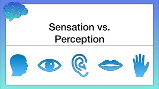 What’s the Difference between Sensation and Perception [upl. by Inafets]