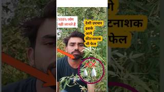 भंग से करें कीट नियंत्रण agriculture farming organicfarmingshortsviral [upl. by Nosnevets]