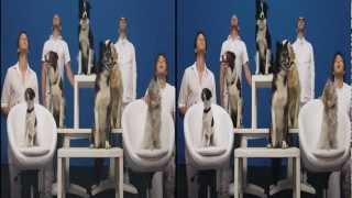 OK Go  White Knuckles  Official 3D Video [upl. by Kylila]