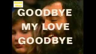 Demis Roussos Goodbye My Love Best Remix Versions [upl. by Toby]