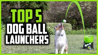 ✅ Top 5 Best Dog Ball Launchers in 2024 [upl. by Ardolino765]