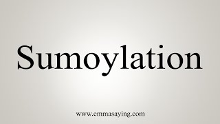 How To Say Sumoylation [upl. by Ttergram]