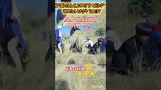 የሉም ጠፈተዋል ሲሉ ኖረን duet abelbirhanuየወይኗልጅ habesha ethioforumኢትዮፎረም amharic yetbitubeየተንቢ [upl. by Rashida]