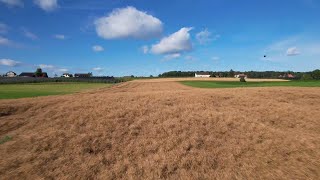 LOW LEVELFLIGHTS  die atemberaubende Natur des Bodensees mit Drohnenflügen [upl. by Lacim]