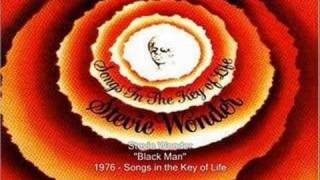 Stevie Wonder  Black Man [upl. by Wilburt]