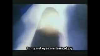 Beautiful Song about Imam Ali AS in Persian Eng Sub [upl. by Anawad]